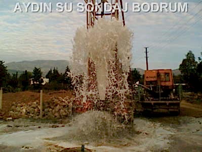 Hizmet Galerisi